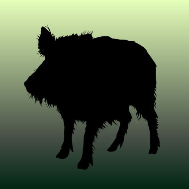 Wild boar vector clipart