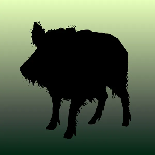 Yaban domuzu vektör — Stok Vektör