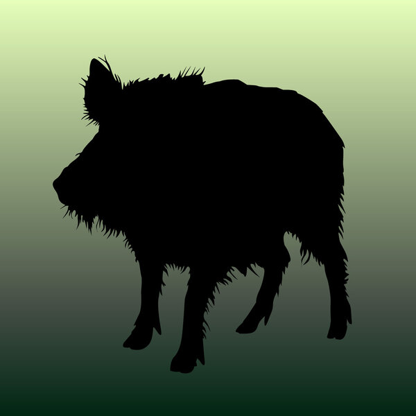 Wild boar vector