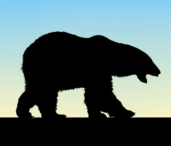 Vector urso polar —  Vetores de Stock