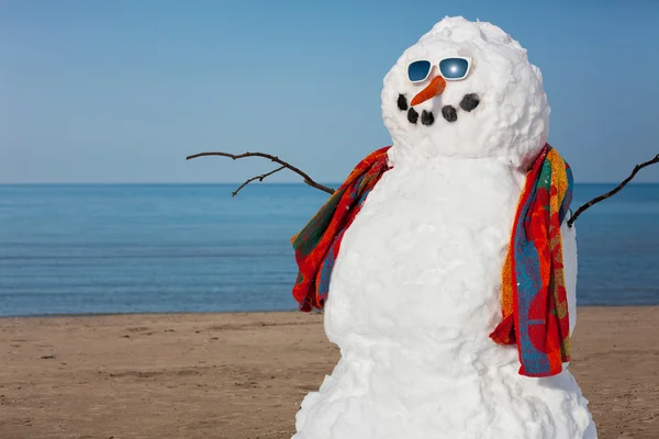 Snowman's Bad Idea — Stock Image Snowman's Bad Idea Royalty Free Stock Photos