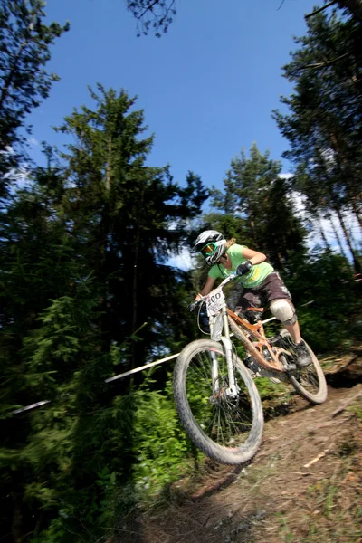 stock image Downhill ride