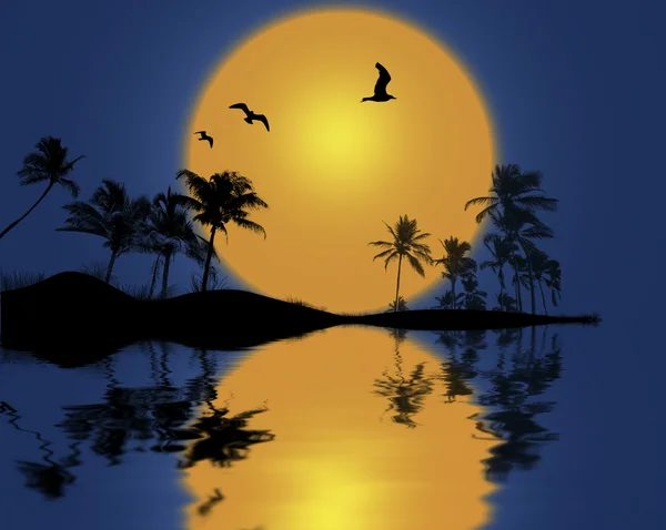 Sonnenuntergang mit Palmensilhouette. — Stockfoto