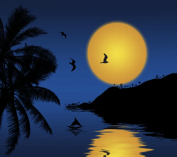 Sonnenuntergang mit Palmensilhouette — Stockfoto