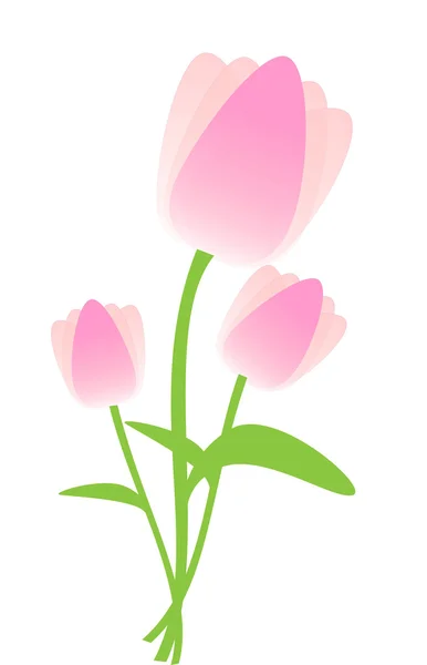 Flower background with tulips — Stock Photo, Image