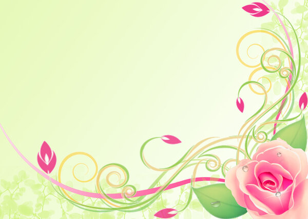 Flower background with rose