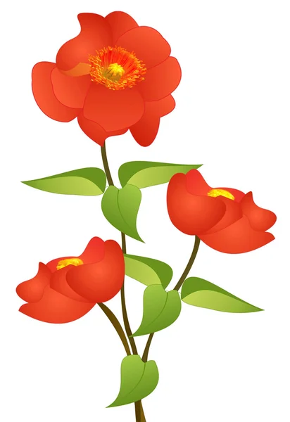 Bukiet czerwonych kwiatów — Zdjęcie stockowe
