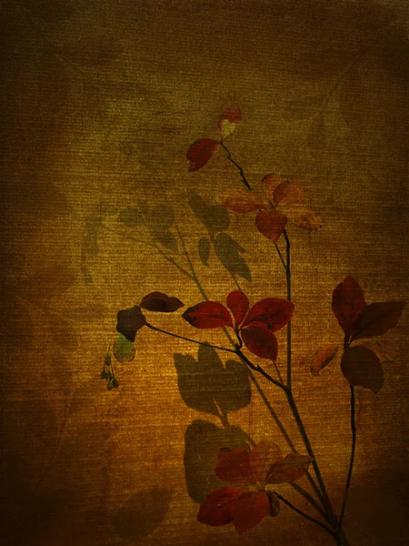 ロマンチックなグランジ背景の葉を持つ — ストック写真