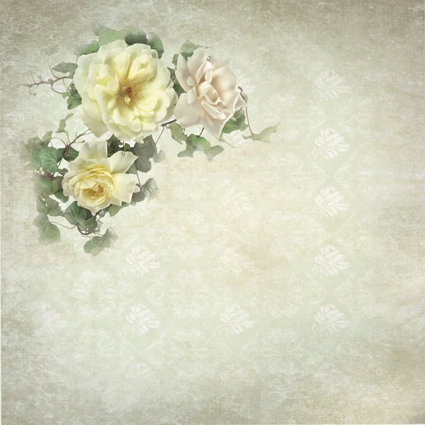 Retro vintage romantic background with roses — Stock Photo, Image