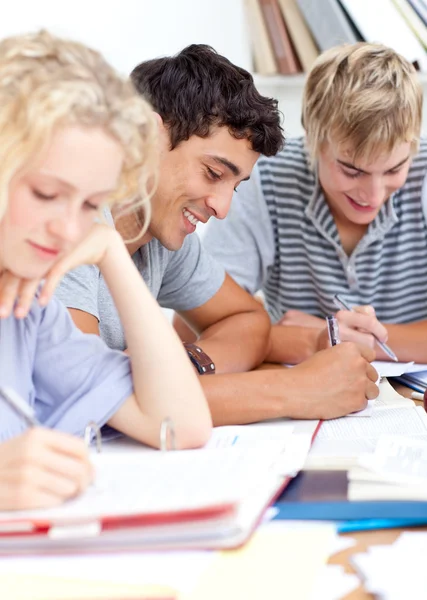 Teenagers studying in the library Stock Image
