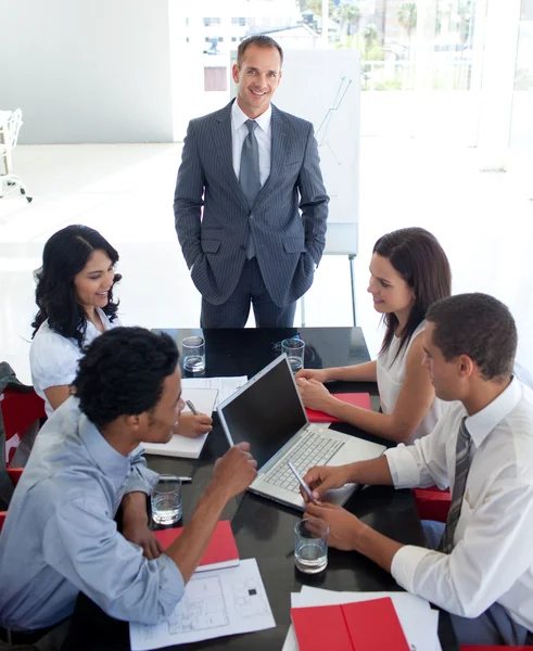 Business team studying a new business plan — Stock Photo, Image