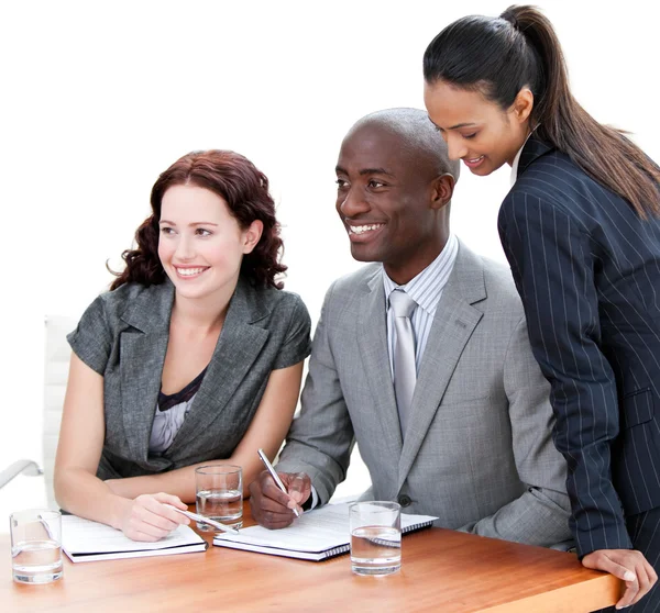 Positive business co-workers studying a document — Stock Photo, Image