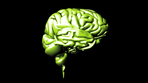 Animación altamente detallada de un cerebro humano — Foto de Stock