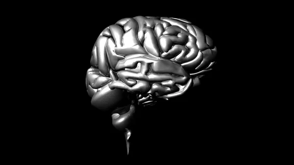 Animação altamente detalhada de um cérebro humano — Fotografia de Stock