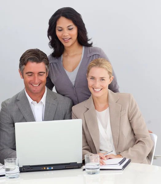 Business working in the office — Stock Photo, Image