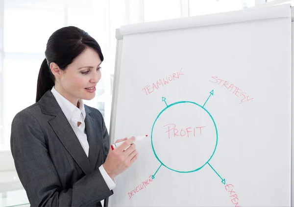 Businesswoman giving a presentation to his team — Stock Photo, Image