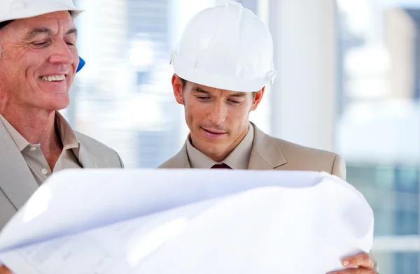 Architects partners looking at the building — Stock Photo, Image
