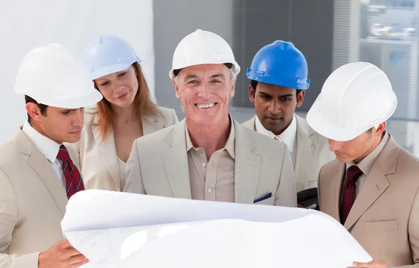 International engineer co-workers disscussing a project — Stock Photo, Image