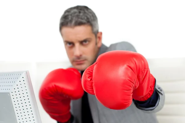 Self-assured businessman with boxing gloves — Stock Photo, Image