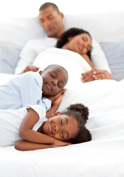 Aile uyumayı Düldül — Stok fotoğraf