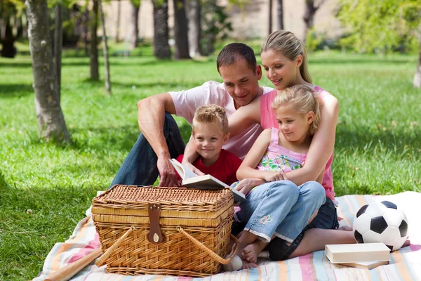 Sorrindo leitura da família enquanto faz um piquenique — Fotografia de Stock