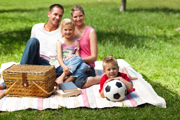 Padres e hijos relajándose en un picnic — Foto de Stock