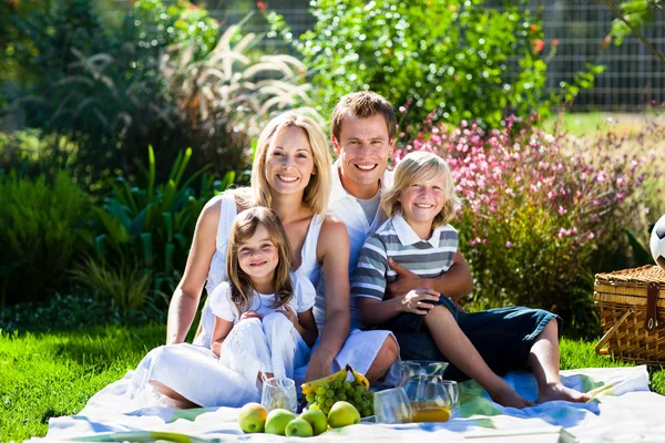 Jonge gezin met picknick in een park — Stockfoto