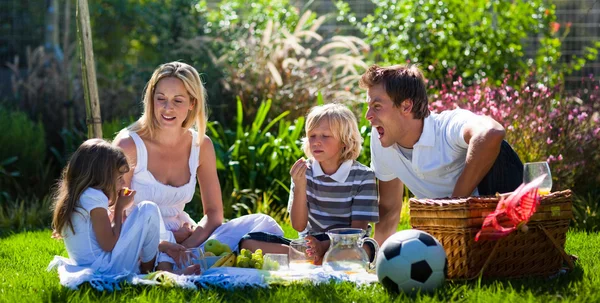 Unga familjen ha roligt i en picknick — Stockfoto