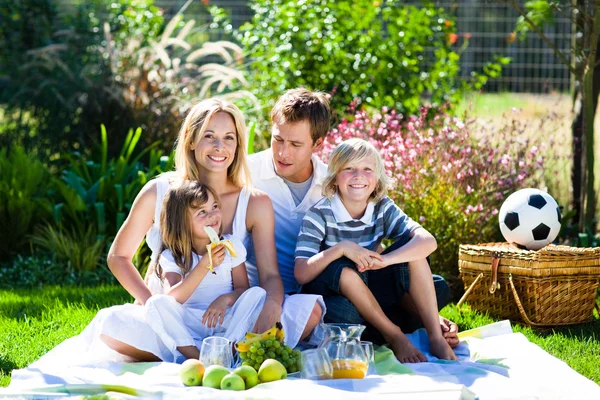 Lycklig familj har picknick — Stockfoto