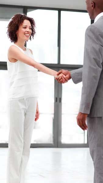 Business shaking hands in agreement — Stock Photo, Image
