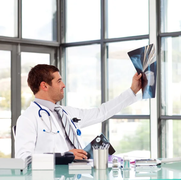 Mannelijke arts een x-ray achter zijn Bureau te onderzoeken — Stockfoto