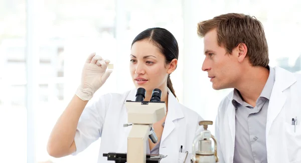 Students of science working in a laboratory — Stock Photo, Image