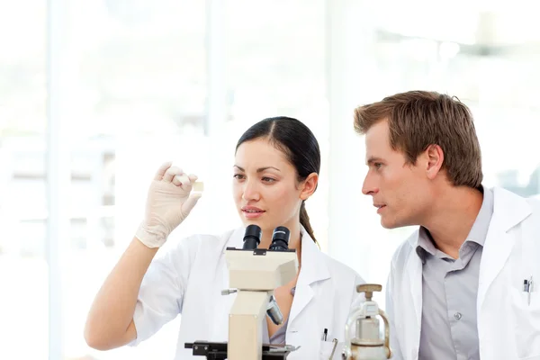 Scientists looking at a slide under a microscope — Stock Photo, Image