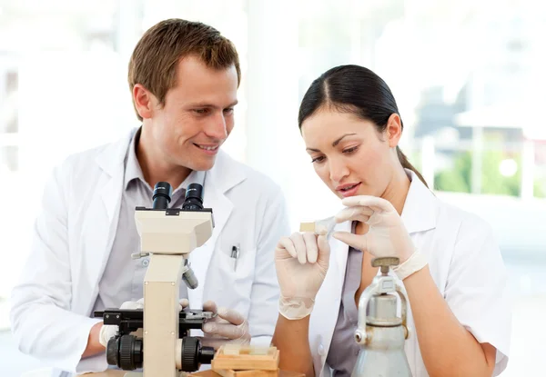 Scientists studying a slide under a microscope — Stock Photo, Image