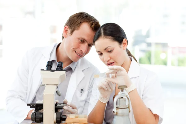 Students of science examining a slide — Stock Photo, Image