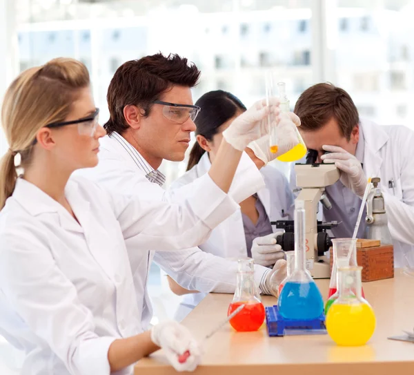 Científicos trabajando en un laboratorio — Foto de Stock