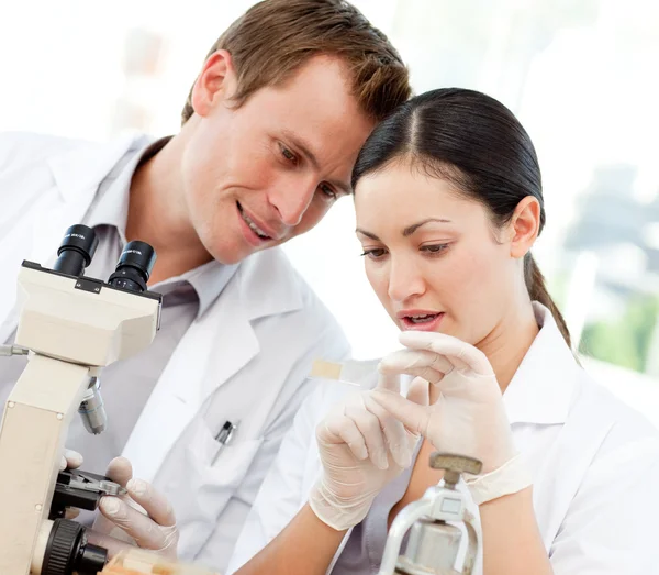 Cientistas olhando para um slide sob um microscópio — Fotografia de Stock
