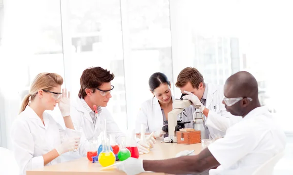 Cientistas que trabalham em laboratório — Fotografia de Stock