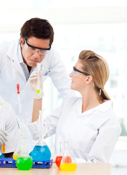 Scientists studying test-tubes — Stock Photo, Image