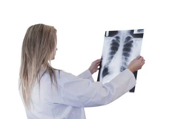 Doctor looking at an xray — Stock Photo, Image