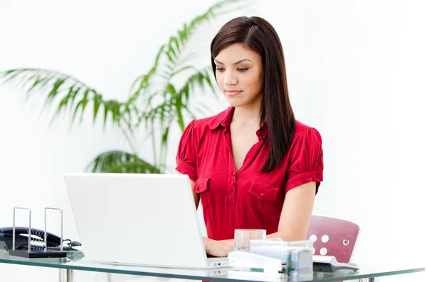 Charismatische zakenvrouw werkt op een computer — Stockfoto