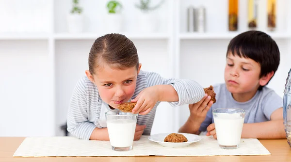 Счастливые брат и сестра едят печенье и пьют молоко — стоковое фото