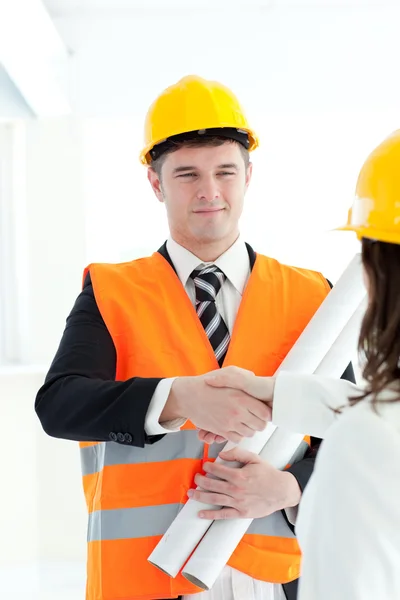 Cute architect discussing with his colleague — Stock Photo, Image