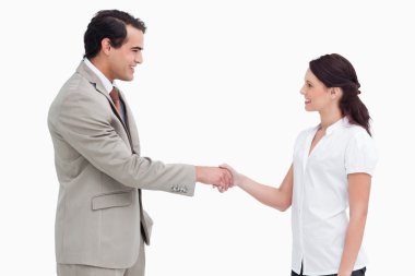 Side view of salespeople shaking hands clipart