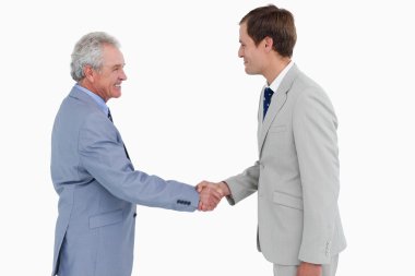 Side view of tradesmen shaking hands clipart