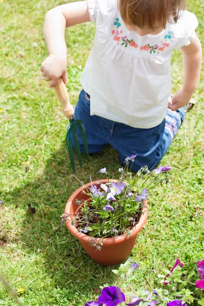 Little girl with a flowerpot — Stock Photo, Image