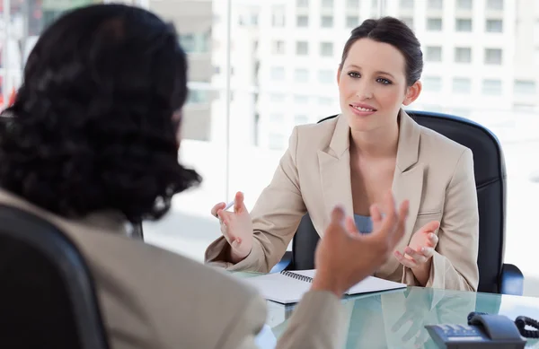 Smiling manager interviewing a male applicant — Stock Photo, Image