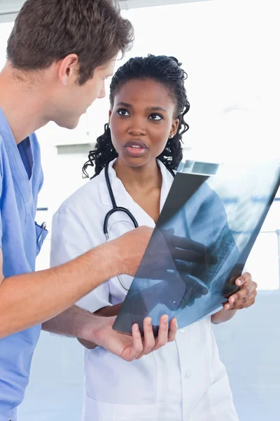 Portrait de jeunes médecins regardant une radiographie — Photo