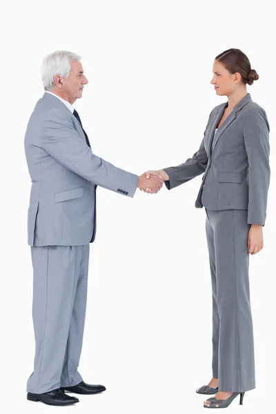 Side view of businesspartner shaking hands — Stock Photo, Image