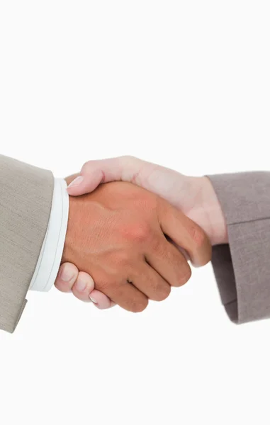 Side view of shaking hands closing a deal — Stock Photo, Image